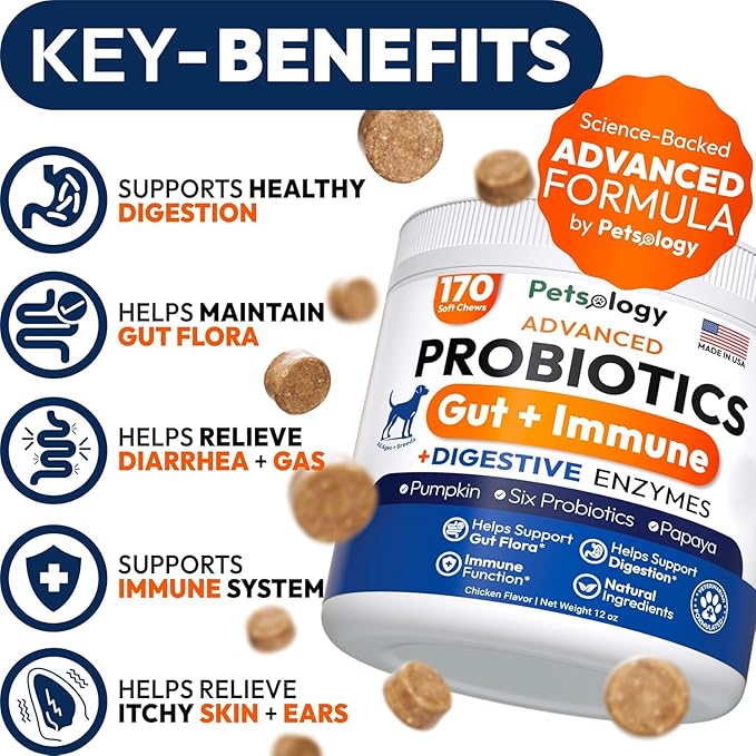 (2 Pack) Probiotics for Dogs - 340 Dog Probiotics Chews - Digestive Enzymes & Prebiotics - Support Gut Health, Diarrhea, Gas & Constipation Relief - Itchy Skin, Allergies - Advanced Supplement