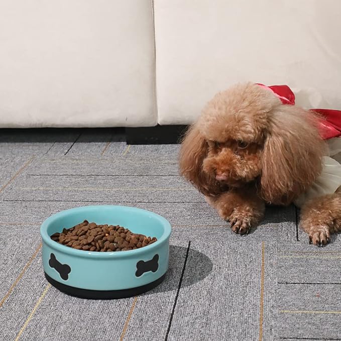 Sweejar Ceramic Dog Bowls with Bone Pattern, Dog Food Dish for Medium Dogs, Porcelain Pet Bowl for Water 35 Fl Oz (Turquoise)