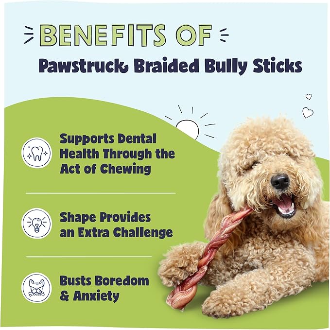 Pawstruck Natural 12" Braided Bully Sticks for Dogs – Tough, Long-Lasting, Rawhide-Free, Low-Odor, Single Ingredient Chew Treat for Aggressive Chewers – 5 Count – Packaging May Vary