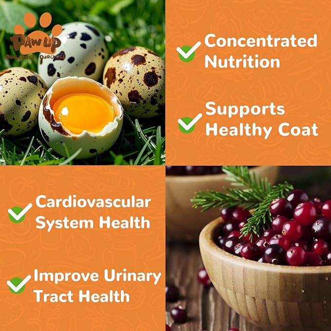 PAWUP Freeze Dried Cat & Dog Treats, Natural Quail Egg Yolk, Rich in Antioxidants Cranberry Added, High-Protein Pet Snacks for Coat & Urinary Health, 3.5 oz