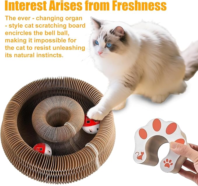 2 Pack Kitty Kurlz Cat Scratcher Board – Cat Scratching Toy with with Bell Balls, Interactive Cat Toy Scratch Pad for Claw Care and Furniture Protection