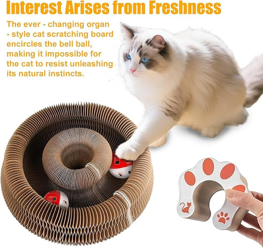 2 Pack Kitty Kurlz Cat Scratcher Board – Cat Scratching Toy with with Bell Balls, Interactive Cat Toy Scratch Pad for Claw Care and Furniture Protection