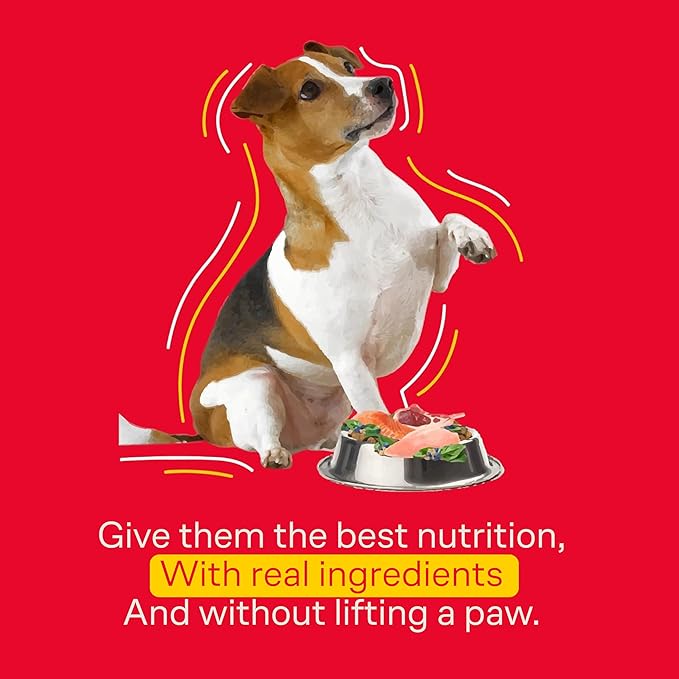 WOOF | Croquettes for Adult Dogs Sabel Chicken | 100% Natural Dog Food | Croqueta with Omega 3 and 6, Biotina and Zinc | Food Without Wheat, Corn or Soy | 349 Oz. Bag