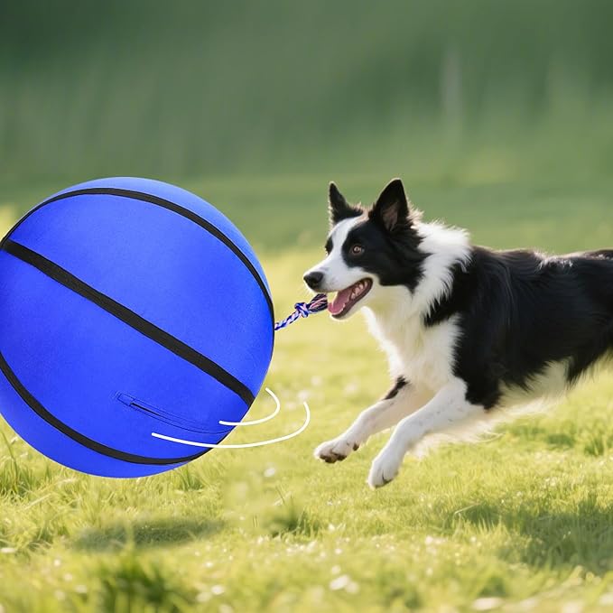 25" Herding Ball for Dogs, Upgrade & Reinforce Medium to Large Dog Training Toys for Australian Shepherd, Horse Balls with Gnawing Knots, Dog Jolly Ball for Outdoor Play (Blue)