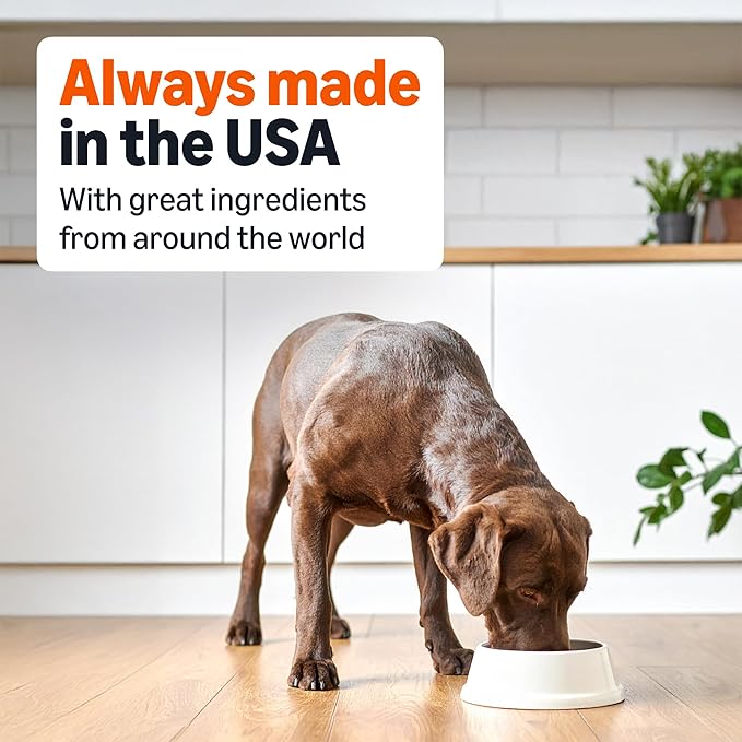 Amazon Basics Wet Dog Food, Meaty Loaf, Chicken & Rice Dinner, Made with Real Chicken, 13.2 oz can (Pack of 12)