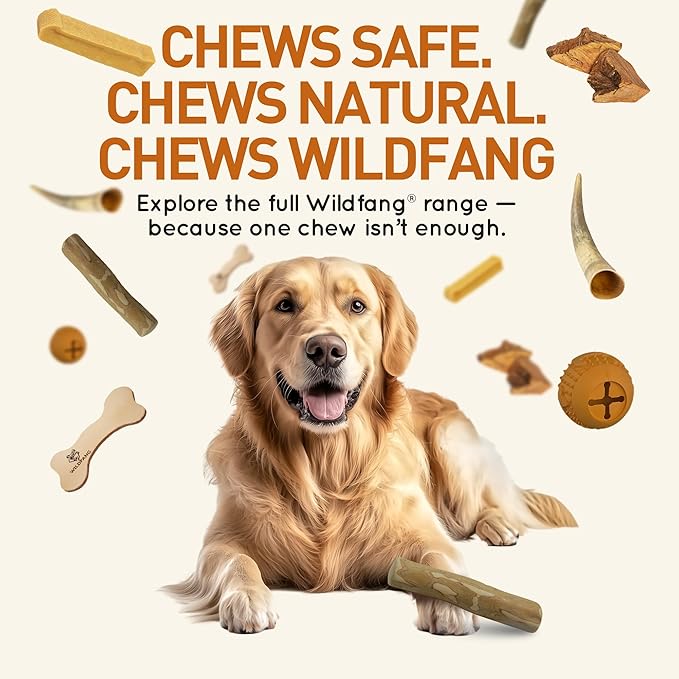 Wildfang® Coffee Wood Dog Chew, XXS – Tough Chew Toys for Aggressive Chewers, Dog Teething Toys for Puppies, Training for Chewing Muscles, Coffee Tree Sticks for XX-Small Dogs (Under 11 lbs)