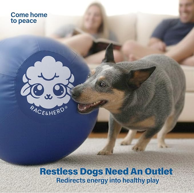 Race&Herd 30" Original XXL Herding Ball for Dogs - Giant Herding Dog Ball Australian Shepherds, Herding Toys, Dog Training Toy for Large Breeds, Dog Toy for Outdoor Play (Large Dogs/Horses, Yellow)