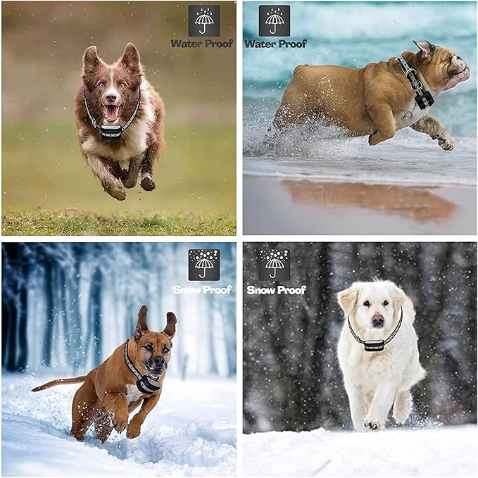 Wireless Dog Fence & Training Collar 2 in 1 System,Boundary Containment System for Stubborn Dogs,with Rechargeable Shock/Tone Waterproof Training Collar,Adjustable Control Range 990 ft,for 123 Dogs,fo