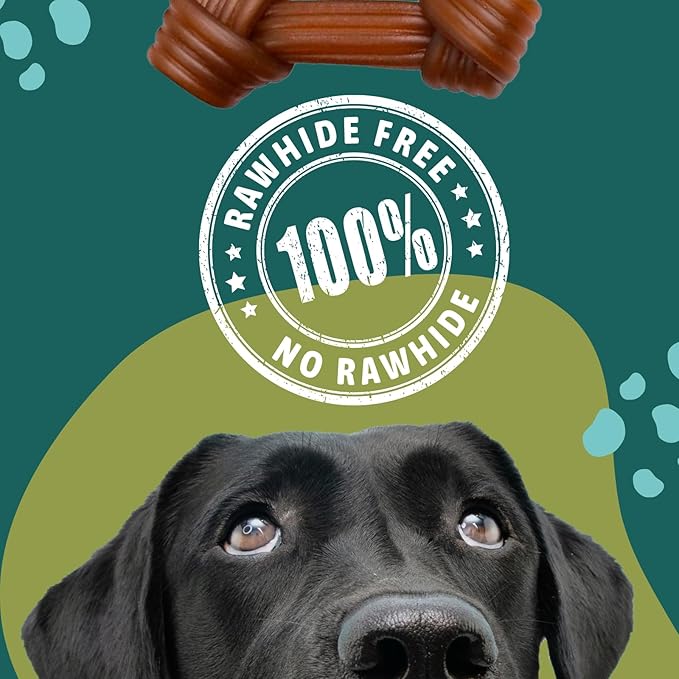 Rawhide Free Dog Chews | Ribbed Bones | for Large - Extra Large Dogs | Pumpkin, Psyllium Husk and Chicory Root for Easy Digestion and Overall Gut Health (2 Bones, Chicken)