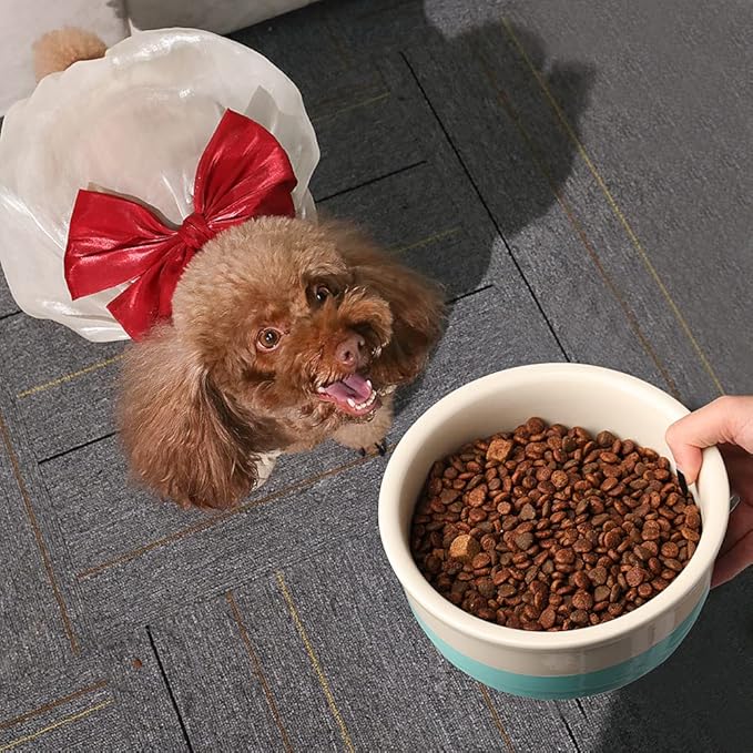Sweejar Ceramic Dog Bowls, Dog Food Dish for Small Dogs and Cat, Heavy Duty Porcelain Pet Bowl for Canned Food and Water 17 Fl Oz （Turquoise）