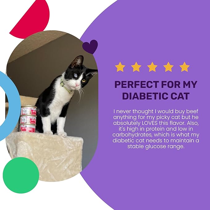 I and love and you Wet Cat Food - Beef Right Meow Pâté - Beef Recipe, Grain Free, Filler Free, 3oz Pack of 24 Cans