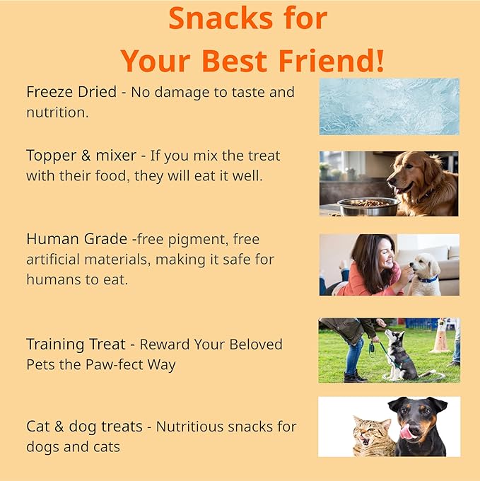 Puppyluv Treat - Freeze Dried Salmon Dog & Cat Treats, Wild Caught, Single Ingredient, High Protein, Omega 3/6/9, Grain Free, Gluten Free, 3.0oz