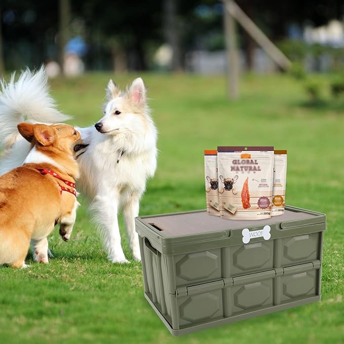 Outdoor Dog Toy Bin wtih Handles,Collapsible Dog Stuff Organizer Portable,Pet Storage Basket with Wood Cover for Dog Toys/Snack/Camping Essentials,Ideal for Car Trunk,RV Trip,Picnic-Green