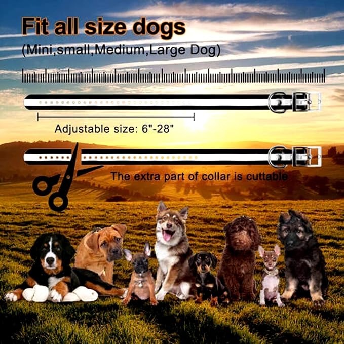 Wireless Electronic Pet Dog Fence System and Dog Training Collar 2-in-1,Boundary Container for All Dogs,with Shock/Tone Correction,Waterproof Reflective Stripe Collar,Harmless,for 1 2 3 dogs,for1dog