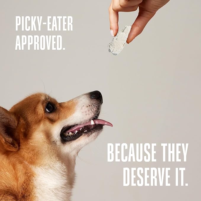 Whole Life Dog Just One Chicken Freeze Dried Dog Treats - Human Grade High Protein Food, Healthy Training Snacks, Freeze Dried Food Toppers, USA Made Natural Treats - 21 oz (Value Pack of 1)