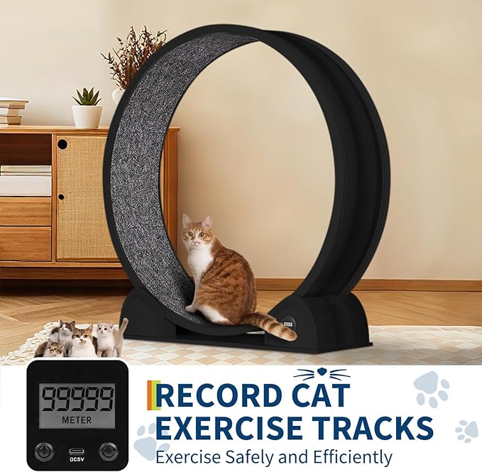 Cat Exercise Wheel for Indoor Cats, 45'' ABS Cat Wheel Exerciser Quiet Cats Treadmill with Pedometer, Small Animal Running Wheels for Weight Loss and Health Black