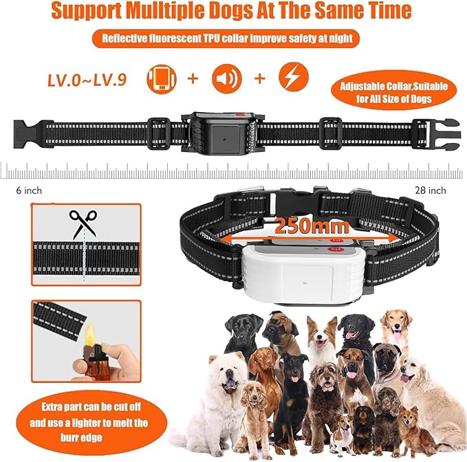 Wireless Dog Fence, Pet Boundary Containment System for Dogs and Pets with Waterproof Training Collar Receiver, Covers up to 856-Acre, Electric Dog Fence, 3 Training Modes for All Dogs,for4dogs