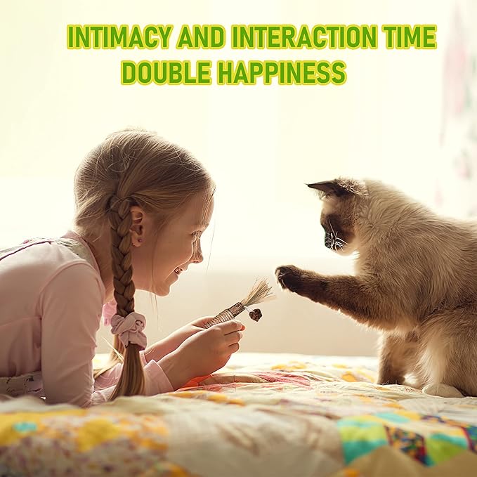 1 Pack Silvervine Cat Toy, Silvervines Sticks Cat Toys for Indoor Cats, Cat & Kitten Chew Toys for Aggressive Chewers, Cat Dental Toy for Kitten Teeth Cleaning, Matatabi Silvervine for Cats