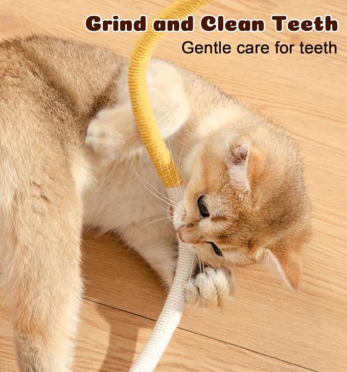 Cat Chew Ropes 4Pcs, Cat Toys for Indoor Cats with Refillable Natural Catnip, Safe Teeth Cleaning Chew Toys, Interactive Kitten Nip Toys and All Breeds (19.5 Inches)