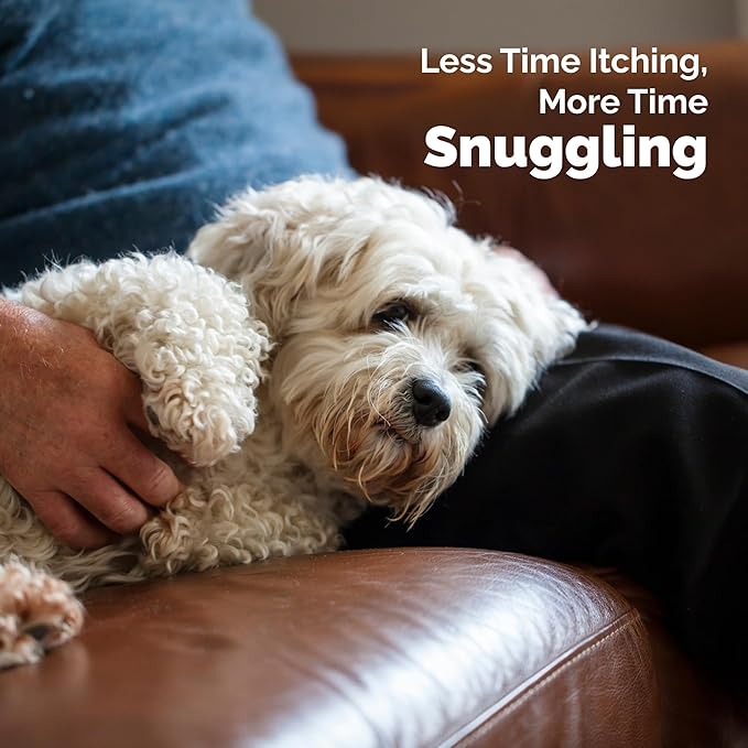 Vetnique Dermabliss Dog Face Wipes - Medicated Chlorhexidine Wipes for Dogs with Wrinkles, French Bulldog, English Bulldog Dog Grooming Wipes Cleaning & Deodorizing Dog Wipes