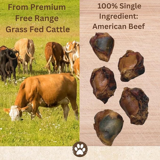 Top Dog Chews – Roasted Knee Caps, 10 Count, Dog Beef Chew Bones, Long Lasting Treats for Aggressive Chewers, Perfect for Large Medium, or Small Dogs, Made in USA