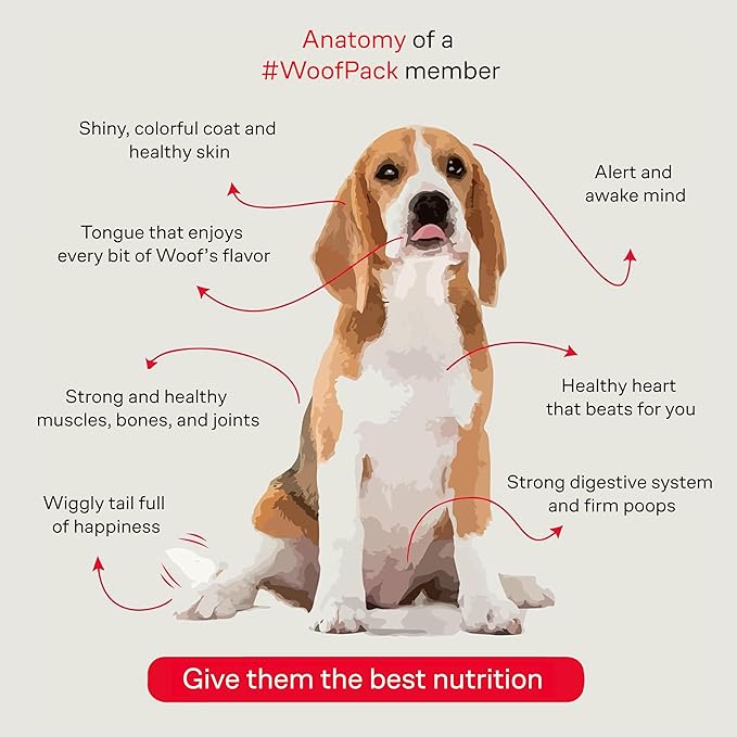 WOOF | Croquettes for Adult Dogs Sabel Chicken | 100% Natural Dog Food | Croqueta with Omega 3 and 6, Biotina and Zinc | Food Without Wheat, Corn or Soy | 349 Oz. Bag