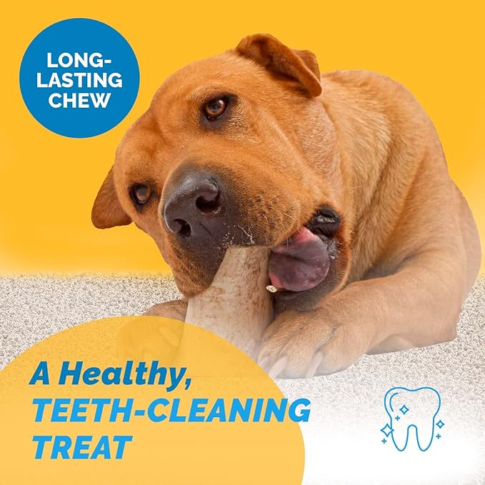 123 Treats Marrow Bones for Dogs - 100% Natural Long Lasting for Aggressive Chewers, Easily Digestible Bone Marrow Dog Treats for Healthy Snacking | (5-6 inches, 6 Count)