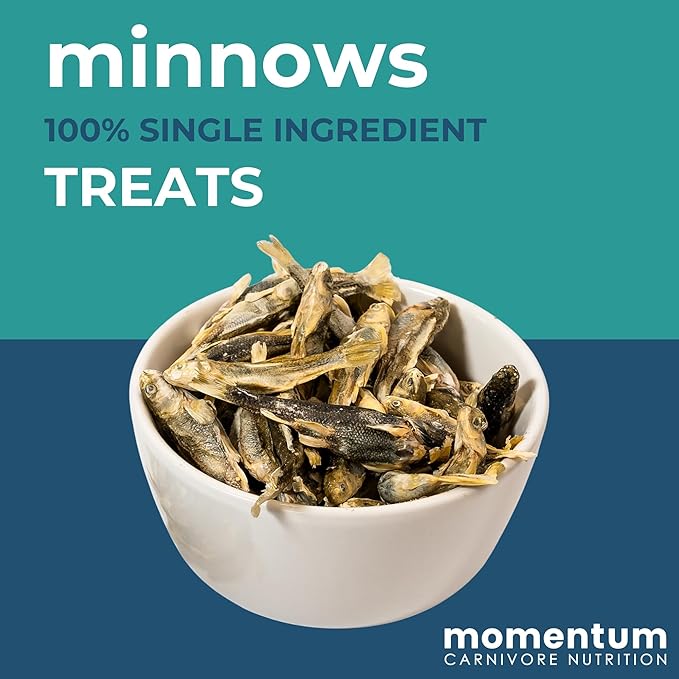 Momentum Carnivore Nutrition Freeze-Dried Minnows Dog Treats – Single-Ingredient, Dog & Cat Treats – High-Protein, Grain-Free– 2 oz Bag