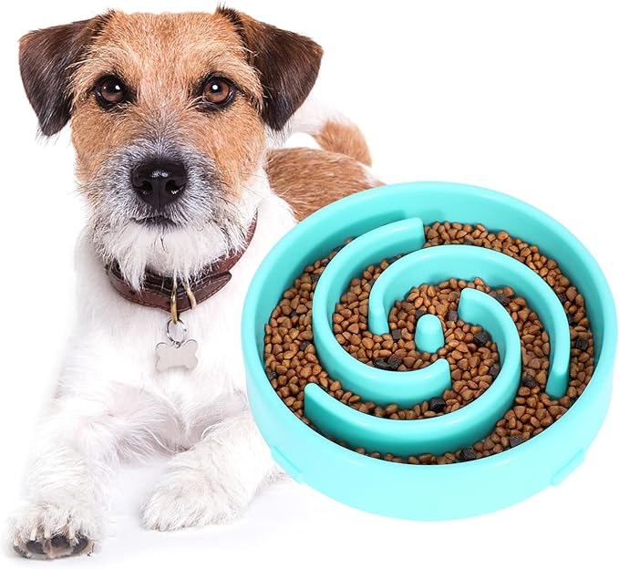 WHIPPY Slow Feeder Bowl for Small Medium Dog Fun Maze Feeder Dog Food Water Bowl Anti-Slip Puzzle Bowl No Chocking Healthy Interactive Bloat Stop Dog Bowl Dish,Medium,Blue