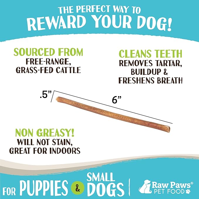 Raw Paws Standard Bully Sticks for Small Dogs, 6-Inch (10-Count) - Low Odor Junior Bully Chews - Free-Range Pizzle Sticks for Dogs - Single Ingredient Dog Chews - Rawhide Alternative - Long Lasting