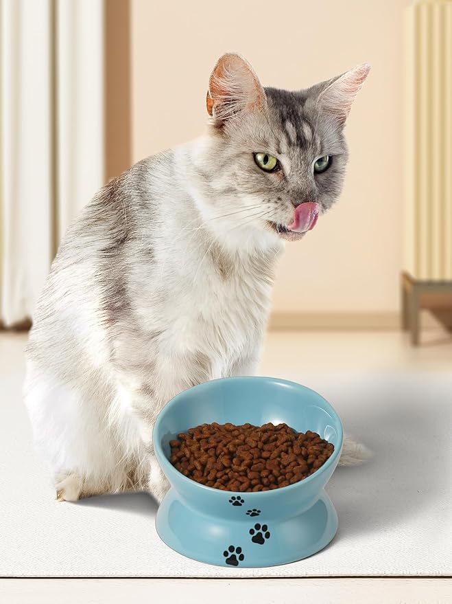 Y YHY Elevated Cat Food Bowl, Ceramic Raised Bowl, Tilt Angle Protects Cat's Spine, Anti Vomiting Dish, Backflow Prevention, Lake Blue