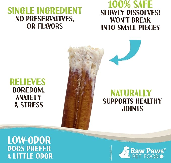 Raw Paws Standard Bully Sticks for Small Dogs, 6-Inch (10-Count) - Low Odor Junior Bully Chews - Free-Range Pizzle Sticks for Dogs - Single Ingredient Dog Chews - Rawhide Alternative - Long Lasting