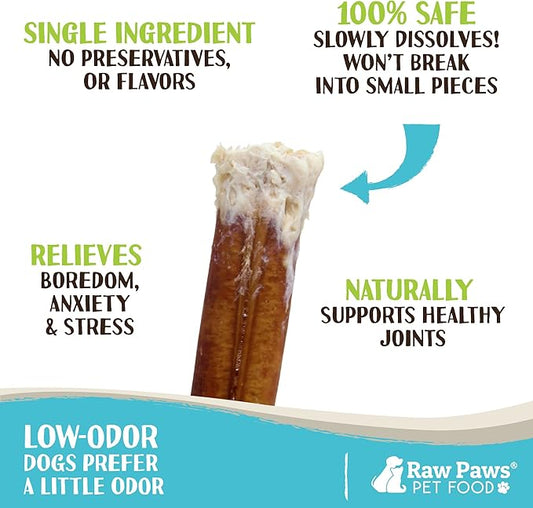 Raw Paws Standard Bully Sticks for Small Dogs, 6-Inch (10-Count) - Low Odor Junior Bully Chews - Free-Range Pizzle Sticks for Dogs - Single Ingredient Dog Chews - Rawhide Alternative - Long Lasting