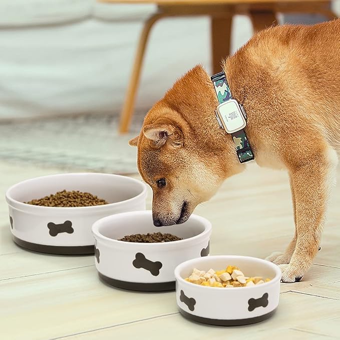 Sweejar Ceramic Dog Bowls with Bone Pattern, Dog Food Dish for Medium Dogs, Porcelain Pet Bowl for Water 35 Fl Oz (White)