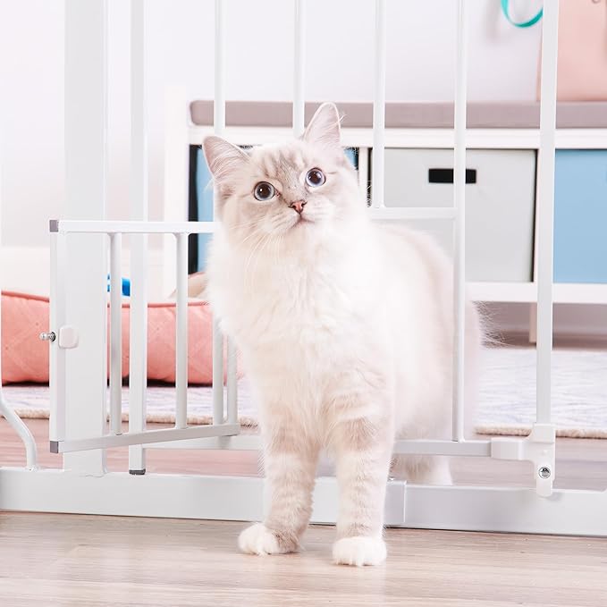 Carlson Pet Products Metal Gate