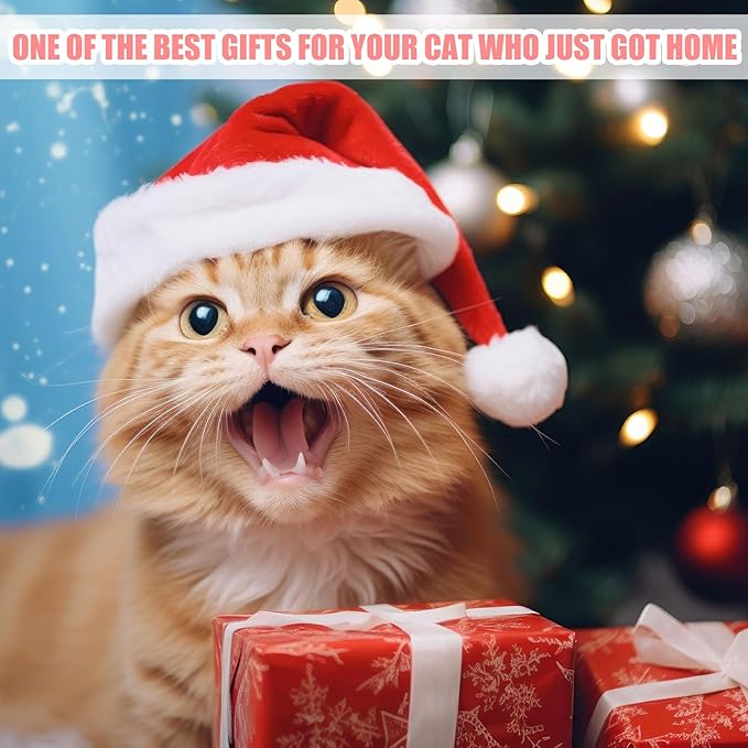 40 Pcs Kitten Starter Kit for Indoor Cats Include Cat Litter Box Toys, Hammock, Bed Scratch Pad, Climbing Post, Feed Bowls, Mat, Collars, Nail File and More for Kitten Supplies Welcome Gift(Pink)