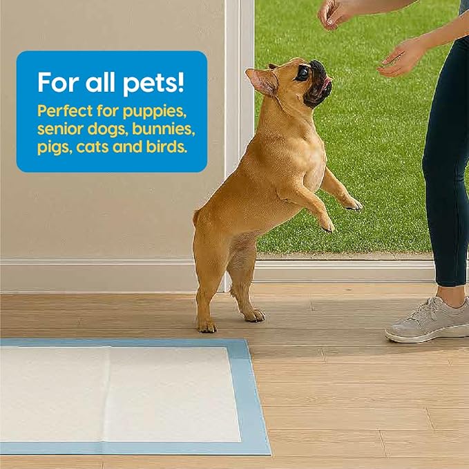 Animal Planet PETS Puppy Pads - Large 22"x22" – 100 Count | Pee Pads for dogs - Leak-Proof and Fast-Absorbing Training Pads - puppy essentials - wee wee pads for Dogs