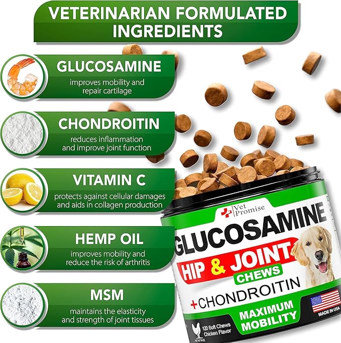 (2 Pack) Glucosamine for Dogs - Hip and Joint Supplement for Dogs - Glucosamine Chondroitin - Joint Pain Relief Pills - MSM - Hemp Oil - Advanced Health Support Supplement - 240 Mobility Chews