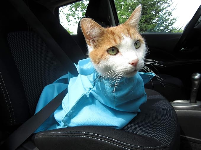 Cat-in-the-Bag Cozy Comfort Carrier - Large Green Pet Carrier and Cat Carrier Soft for Cutting Nails, Vet Visits, Medication Administration, Dental Care, & Travel