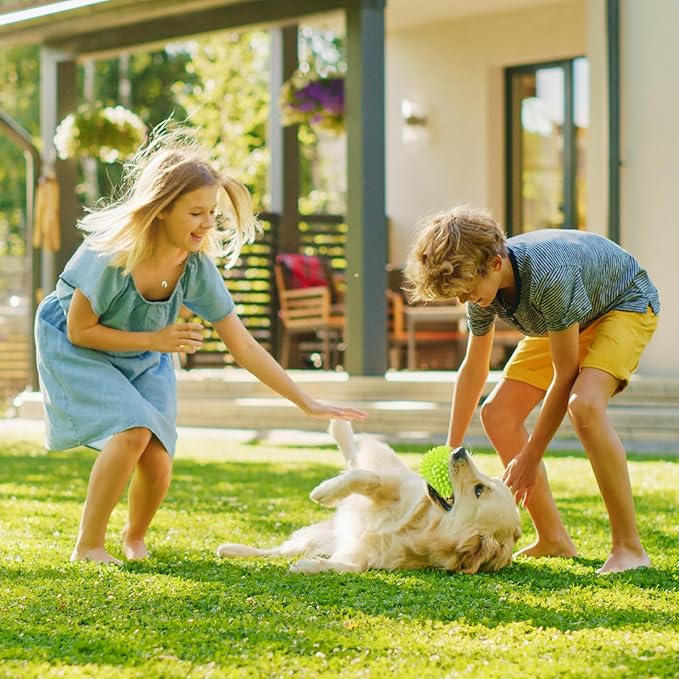 2.5" Squeaky Dog Balls for Small Medium Dogs, 6 Pack Small Dog Chew Toys with Spike, Puppy Toys for Teeth Cleaning and Training (Green 6 Pack)