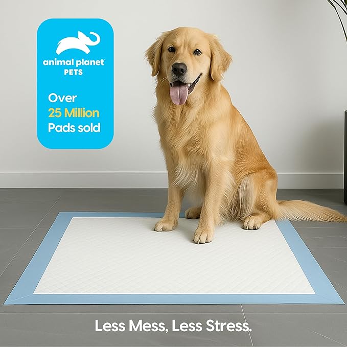 Animal Planet PETS Puppy Pads - Large 22"x22" – 30 Count | Pee Pads for dogs - Leak-Proof and Fast-Absorbing Training Pads - puppy essentials - wee wee pads for Dogs