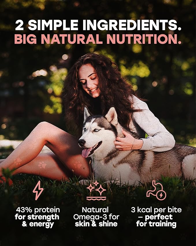 Wild Catch Treats – Freeze Dried Salmon & Sweet Potato Dog Treats – Single Protein, 43% Protein, 3% Omega-3 – Raw Training Treats & Meal Topper – Grain Free – 5.5 oz (300 Count)