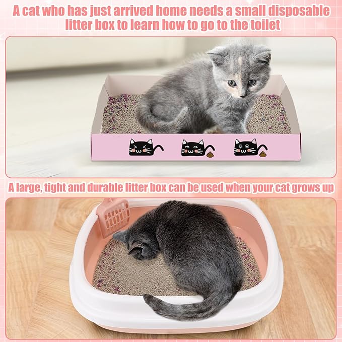 40 Pcs Kitten Starter Kit for Indoor Cats Include Cat Litter Box Toys, Hammock, Bed Scratch Pad, Climbing Post, Feed Bowls, Mat, Collars, Nail File and More for Kitten Supplies Welcome Gift(Pink)