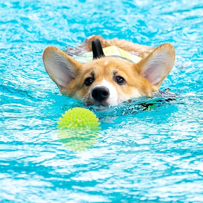 2.5" Squeaky Dog Balls for Small Medium Dogs, 6 Pack Small Dog Chew Toys with Spike, Puppy Toys for Teeth Cleaning and Training (Green 6 Pack)