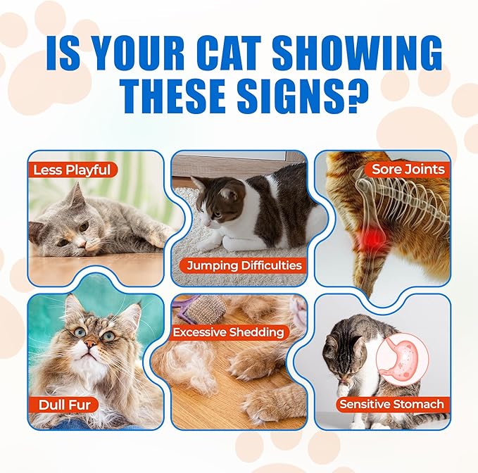 Just Try 300 Bites Collagen Bites Cat Treats for Cat Glucosamine Chondroitin, Collagen Supplements for Joint Health - Chicken Flavor - Cat Supplements 6.35 oz