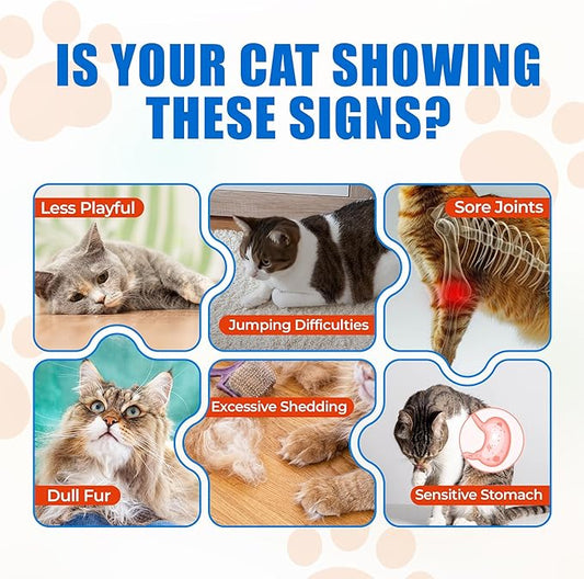 Just Try 300 Bites Collagen Bites Cat Treats for Cat Glucosamine Chondroitin, Collagen Supplements for Joint Health - Chicken Flavor - Cat Supplements 6.35 oz