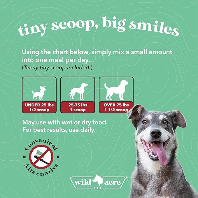 Wild Acre Dental Powder for Dogs - Dog Breath Freshener Dental Powder for Teeth Cleaning Plaque Off, Dental Care for Dogs, Tartar Remover for Teeth - Fresh Breath Probiotics
