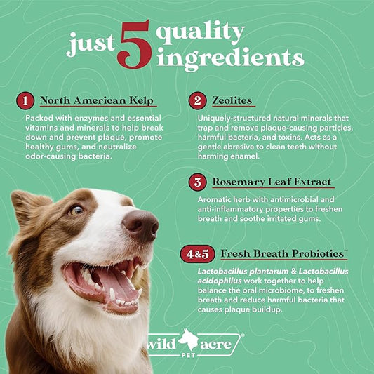 Wild Acre Dental Powder for Dogs - Dog Breath Freshener Dental Powder for Teeth Cleaning Plaque Off, Dental Care for Dogs, Tartar Remover for Teeth - Fresh Breath Probiotics