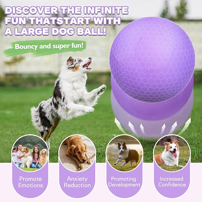 25" Herding Ball Set for Dogs and Horses, Durable Waterproof Dog Toy, Dual-Layer Large Interactive Pet Play Ball for Australian Shepherds, Cattle Dogs, Collies, and All Herding Breeds (Purple)