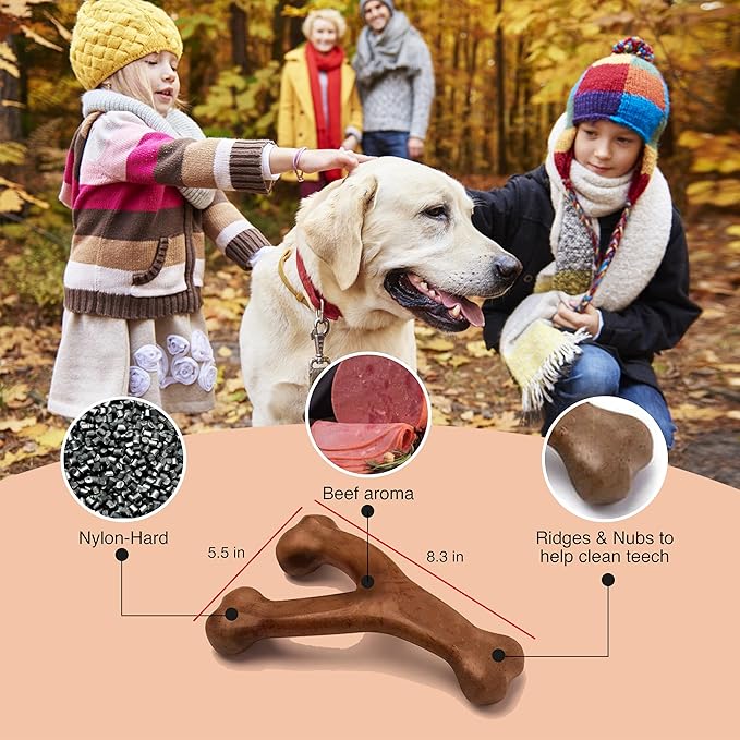 Dog Chew Toys for Aggressive Chewers (2Pcs - Real Beef & Bacon Flavored) - Durable Dog Tough Wish Bone (Upto 60 lbs.) - Indestructible Chew Toys for Dogs for Interactive Play & Dental Benefits